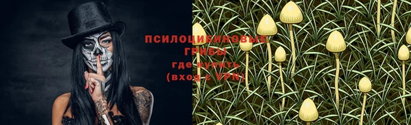 МДПВ Верхнеуральск
