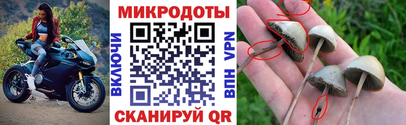 Галлюциногенные грибы прущие грибы  Прохладный 